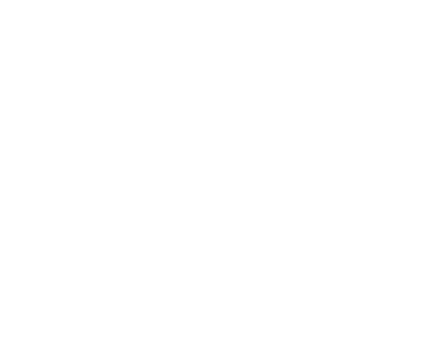 IT Niagara Logo